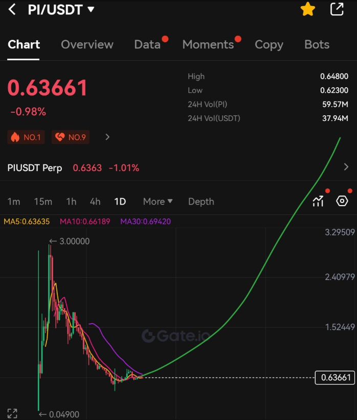 Pi Coin Investment growth projection