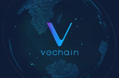 VeChain bridge connectivity world