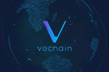 VeChain bridge connectivity world