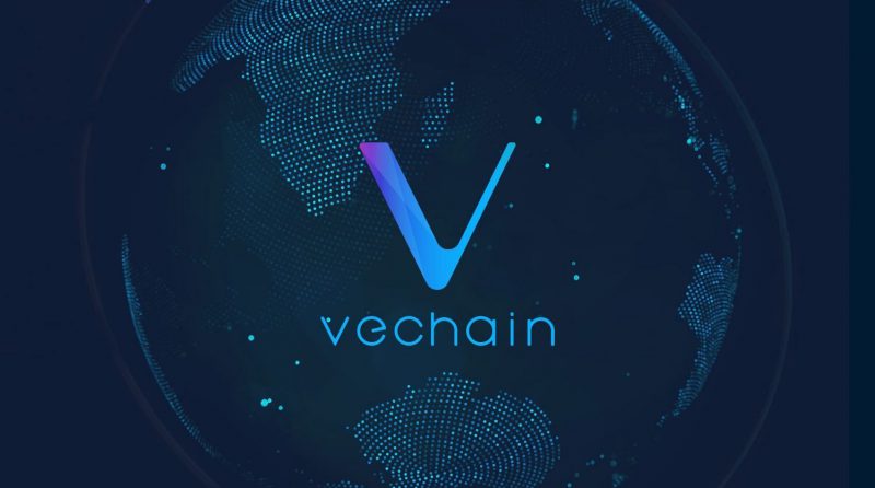 VeChain bridge connectivity world