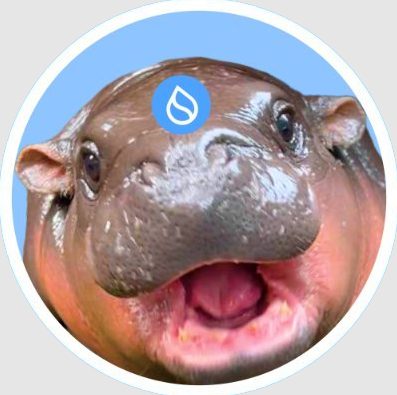 Sudeng (HIPPO)