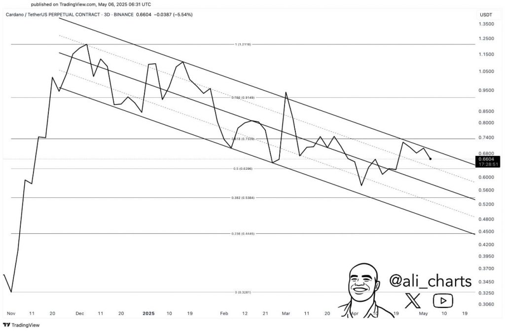 Cardano whale accumulation
