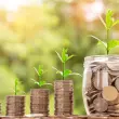 Image showing consistent growth