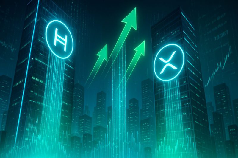 HBAR XRP Ledger