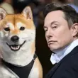 Doge Elon Musk
