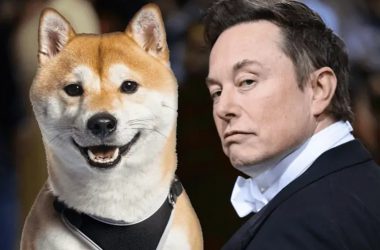 Doge Elon Musk