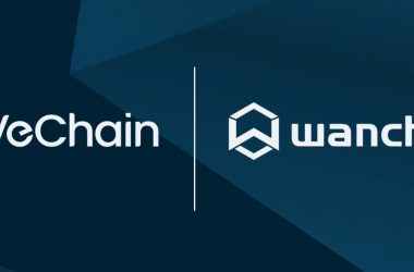 Vechain bridge launch VET