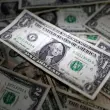 dollar on bed of dollars