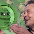 Turned $1,000 into Pepe Coin After Musk’s First Meme