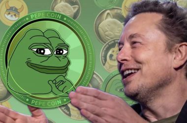 Turned $1,000 into Pepe Coin After Musk’s First Meme