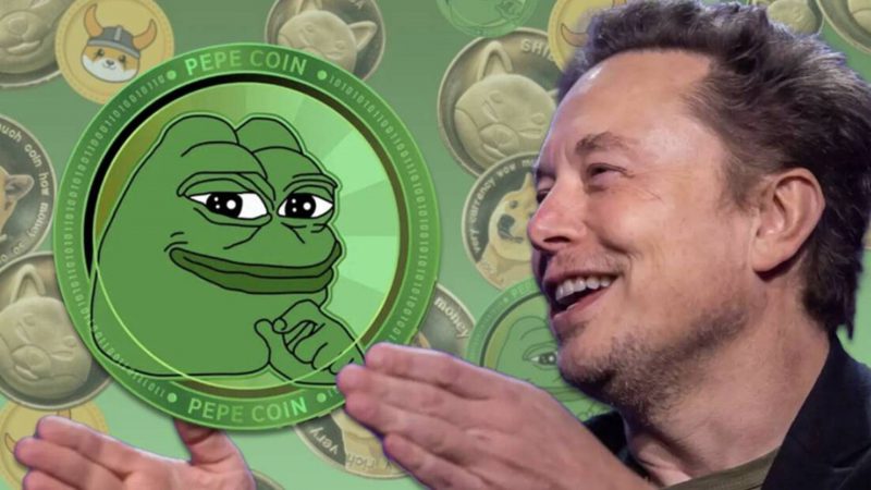 Turned $1,000 into Pepe Coin After Musk’s First Meme