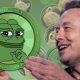 Turned $1,000 into Pepe Coin After Musk’s First Meme