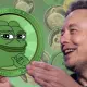 Turned $1,000 into Pepe Coin After Musk’s First Meme