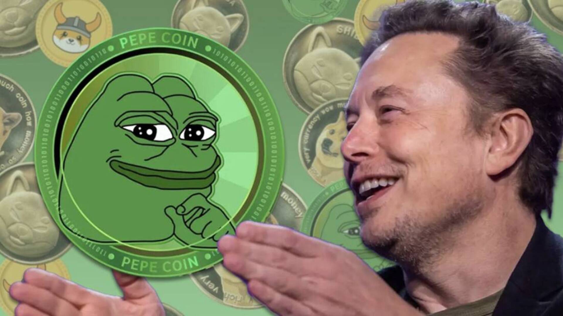 Turned $1,000 into Pepe Coin After Musk’s First Meme? Here’s What It’s Worth Today
