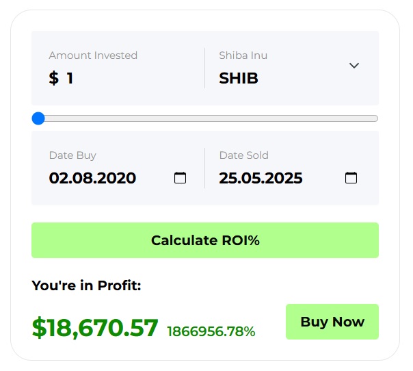 Shiba Inu SHIB $1 investment profits