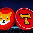 Shiba Inu Treat Token SHIB