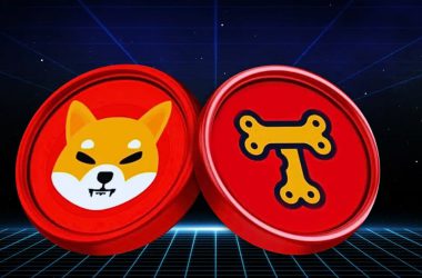 Shiba Inu Treat Token SHIB
