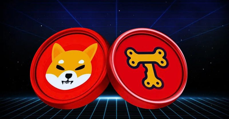 Shiba Inu Treat Token SHIB