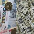 Tanzania's US Dollar Ban