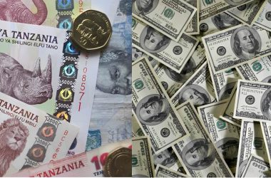 Tanzania's US Dollar Ban