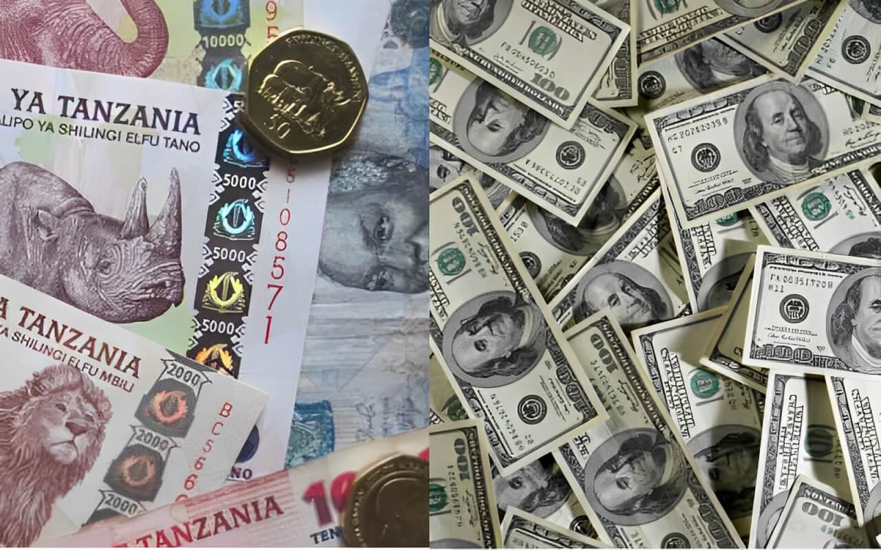 Tanzania’s US Dollar Ban Set the Stage for Kenya & Other EAC Nations