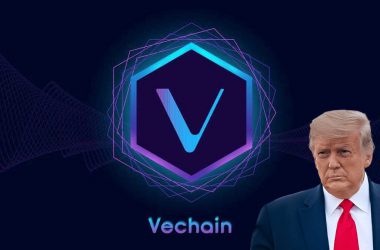 VET TRUMP