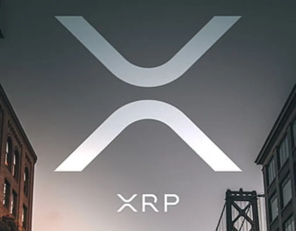 Key Facts About XRP Today: $32 Million Liquidated, 3,200% Favor Shorts
