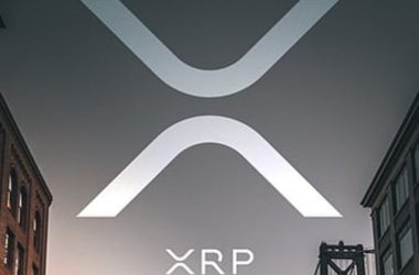 xrp sky