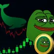 Pepe Coin Prepping for Q3 Surge