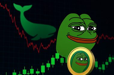 Pepe Coin Prepping for Q3 Surge