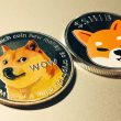 Shiba Inu Could Hit Dogecoin's Market Cap by 2027