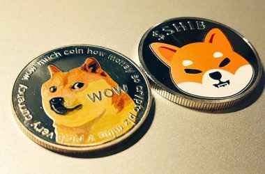Shiba Inu Could Hit Dogecoin's Market Cap by 2027
