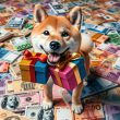 Shiba Inu with two presents