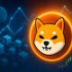 Shiba Inu Preps for Breakout With 'One Killer App' Vision