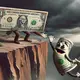 US dollar