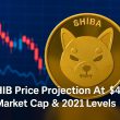 Here's SHIB's Price If It Reclaims 2021 Market Share at $40T Cap