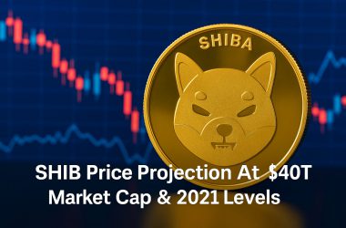 Here's SHIB's Price If It Reclaims 2021 Market Share at $40T Cap
