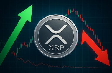 XRP Hits Critical Point
