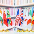 BRICS G7 flags