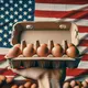 US Egg Prices