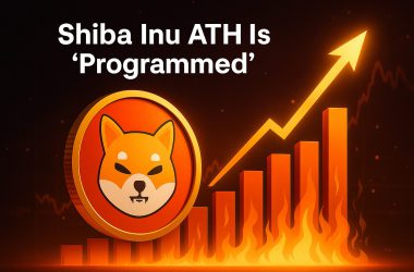 Shiba Inu ATH Is 'Programmed'