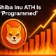 Shiba Inu ATH Is 'Programmed'