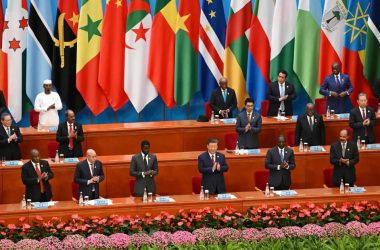brics china africa