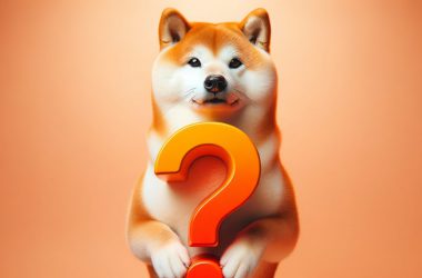 Shiba Inu question
