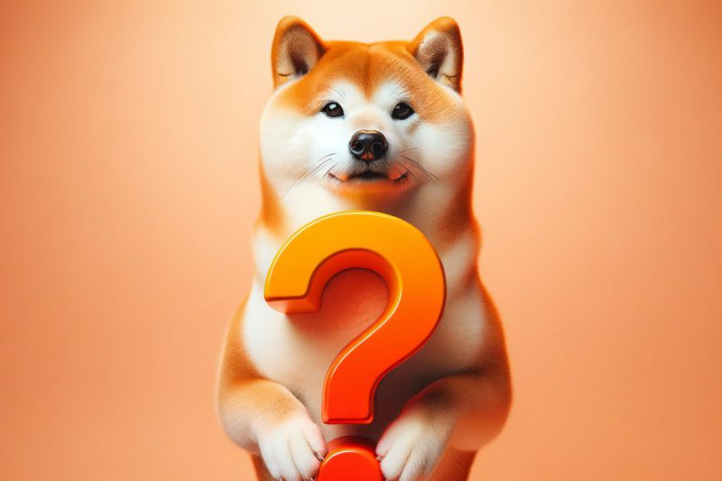 Shiba Inu question