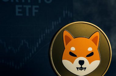 Shiba Inu ETF Approval Once Again Delayed: What's Really Going On?