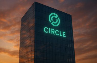 BlackRock Takes 10% Stake in Circle's $624M IPO Launch