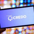 credo technology stock crdo