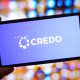 credo technology stock crdo