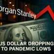 Morgan Stanley Predicts US Dollar Drop to Pandemic Lows